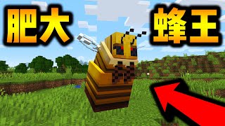 【Minecraft】如果蜂王添加至我的世界里面！！！肥大的蜂王！！！