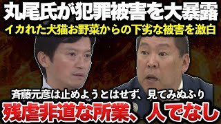 【ゆっくり解説】ついに丸尾県議が衝撃の大暴露！斉藤元彦＆反社会的カルト集団、立花尊師の犬猫お野菜信者らによる狂った卑劣行為の実態が明らかに！！悪人共はさっさと豚箱へ