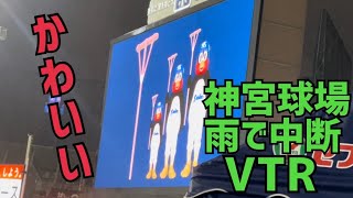 神宮開幕3日目。雨で中断の中ビジョンにつば九郎が！いつものキターーーー(2022年3月31日)