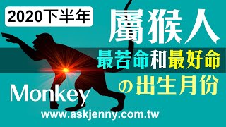 林海陽 2020鼠年下半年 生肖[猴] 最苦命和最好命的出生月份 20200813