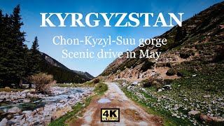 Kyrgyzstan: Chon-Kyzyl-Suu gorge. Scenic drive in May [4K]