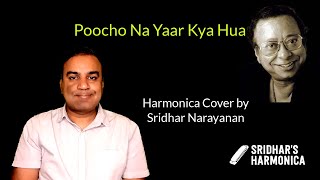 Poocho Na Yaar Kya Hua / Sridhar’s Harmonica / Instrumental Cover