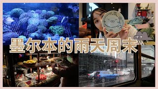 墨尔本打工人的周末😭闲逛South Melbourne Market❤️竟然突然下起了大雨🌂墨尔本悠久历史的Hopetoun Tea Rooms下午茶🍰～～✮佩奇的日记✮VLOG 55