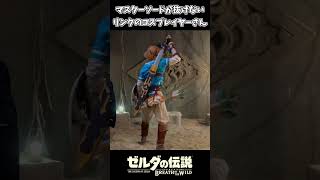 マスターソードが抜けないリンクのコスプレイヤーさんｗｗ【ゼルダの伝説 ブレス オブ ザ ワイルド】