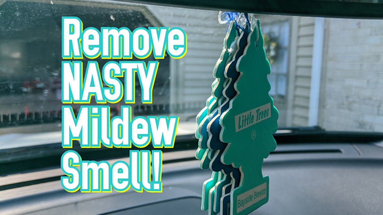 How To Remove Mildew Odor From Car