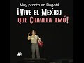 Así fue el amor de Chavela Vargas por México