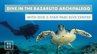 BCSS 5-STAR PADI Dive Center – RESEARCH • COURSES • EXPEDITIONS