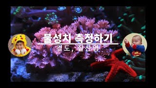 산호어항에 하면 한번은 하게되는 경도, 질산염 측정했습니다.