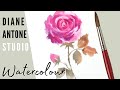 How to Paint a Watercolor Rose  - Easy Beginners Real Time Step by Step Painting Art Tutorial