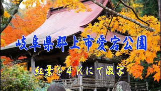 郡上八幡の秋４Ｋ