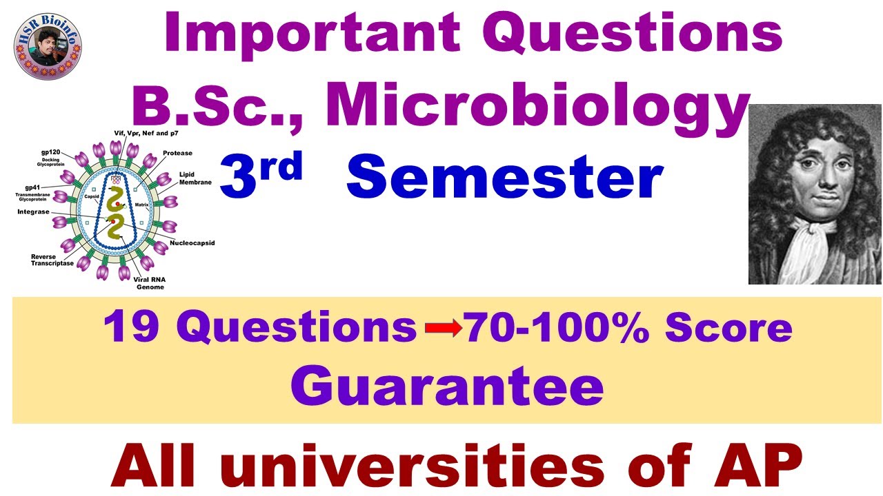 Important Questions-B.Sc., Microbiology |3rd Semester | AP Universities ...