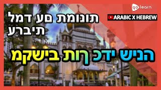 למד עם תמונות ערבית | אוצר מילים ערבית מקשיב תוך כדי שינה | Golearn