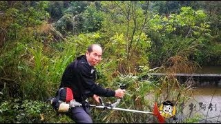 清明时节雨纷纷，实拍广西农村人拜山扫墓，突降大雨太狼狈