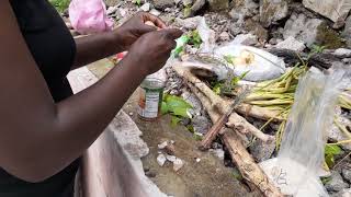 Gully Beans (Susumba) \u0026 Salt Fish with Plain Rice | Jamaica Country Lifestyle Cooking