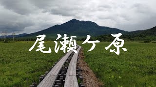 尾瀬ケ原でハイキング！初夏の景色が綺麗すぎて幻みたい