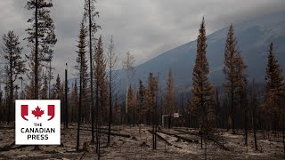 One year later: Post-fire rebuild slow in Jasper