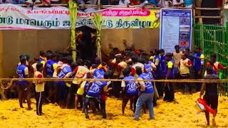 Mangapatti Jallikattu 2019,,, sk reni pudi thedavur puthur sk brother's