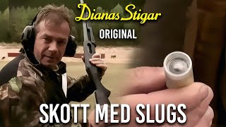 Skott med slugs (Dianas Stigar Original)