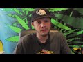 grease monkey strain review exotic genetix cannabis lifestyle tv