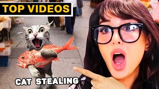 Caught in 4K: Epic Fails and Funny Moments | SSSniperWolf