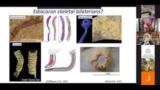 Tracing the roots and drivers of the Cambrian Explosion - Dr. Rachel Wood