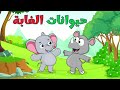 حيوانات الغابة | مجموعة أغاني قناة عالم فلفول للأطفال