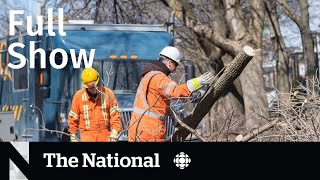 CBC News: The National | Storm aftermath, Abortion pill access, Feist