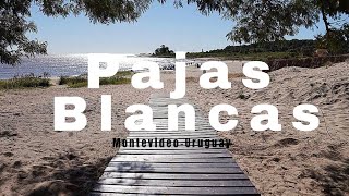 Recorriendo Playa Pajas Blancas |||| Montevideo Uruguay 🇺🇾🧉