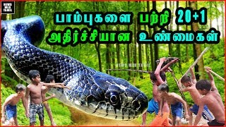 பாம்புகளின் சுவாரஸ்யமான 20+1 உண்மைகள் | Interesting Facts about Snakes | Part-1 | Tamil