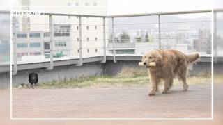 [팟캐스트] 바람아래 소곤소곤 팟캐스트 시즌 2 메이킹 영상