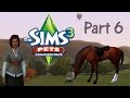 Let's Play : The Sims 3 Pets (Part 6) - Horse Training