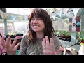 hardening off started plants don’t skip this step gardening tips and advice