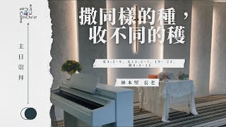 主日崇拜 (2025-1-12) | 林本堅 長老 | 撒同樣的種，收不同的穫