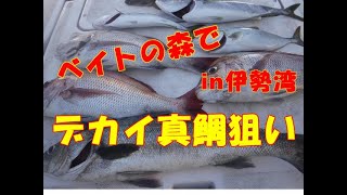 【海釣り情報】伊勢湾はベイトの森！