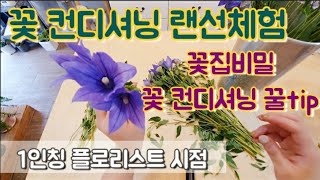 꽃 컨디셔닝 랜선체험하기! / 1인칭 플로리스트시점/ 플로리스트 체험 / 오래가는 꽃 비결공개 / #꽃컨디셔닝 꿀팁 #슬기로운꽃집생활 #꽃물올리기