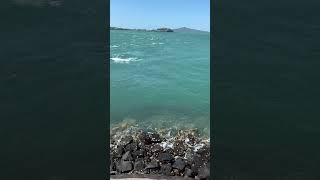 Seaside Jog \u0026 Fishing | Auckland’s Perfect Waterfront Spot 🌊🏃‍♀️🎣