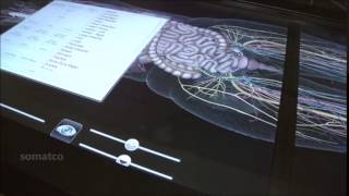 Anatomage 3d anatomy Tutorial from UNTHSC Center Online Education on Vimeo SOMATCO سوماتكو