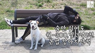 반려견과 사는 30대 백수의 하루 숨만쉬어도 마이너스인데 강아지 입양 고민중이라면 보세요