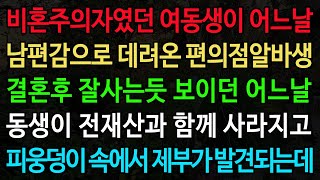 비혼주의자였던 여동생이 어느날 남편감으로 데려온 편의점알바생 결혼후 잘사는듯 보이던 어느날 동생이 전재산과 함께 사라지고 피웅덩이 속에서 제부가 발견되는데