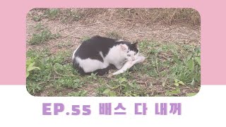 EP.55 비오면 배스는 다내꺼✌️