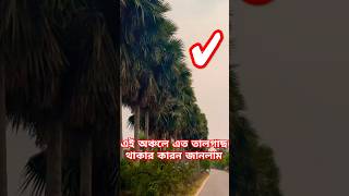 এই এলাকায় এত তালগাছ থাকার কারণ কি?#বাংলাদেশ #minivlog #তালগাছ #তারাশ#সিরাজগঞ্জের #ভ্রমণ #ভাইরাল