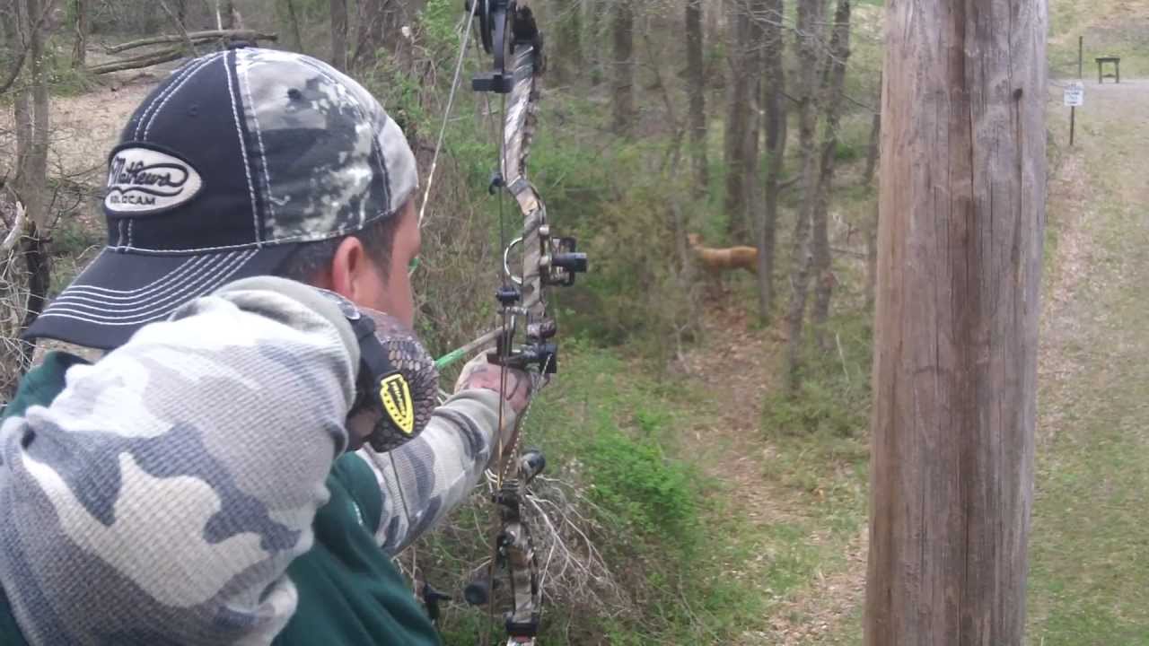 Shooting 3d Targets Youtube