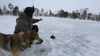 Что скрывает озеро на болоте? Осторожно это может изменить ваше мнение о рыбалке. Рыбалка на жерлицы