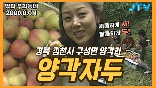 [떴다 우리동네] 우리동네 특산물 l 경북 김천시 구성면 양각리(3)