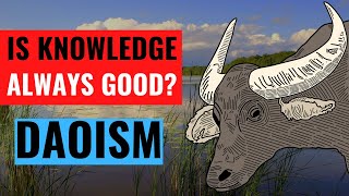 Is Knowledge Always Good? | Daoism and The Chuang Tzu