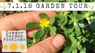 7.1.18 GARDEN TOUR - I've got problems!