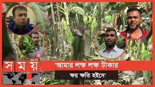 বাগেরহাটে রাতের আঁধারে চাষির এত বড় ক্ষতি করলো কারা? | Bagerhat News | Somoy TV