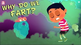 Why Do We Fart? - The Dr. Binocs Show | Best Learning Videos For Kids | Peekaboo Kidz