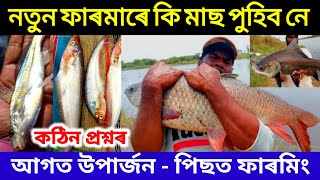 নতুন ফাৰমাৰে কি মাছ পুহিব নে / Assam Fish Hatchery/ Fish Farming Assam India / Catfish Farming Ideas