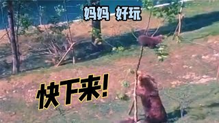 这就是传说中的“熊孩子”吧#原创搞笑配音，你喜欢叔吗，那叔也喜欢你